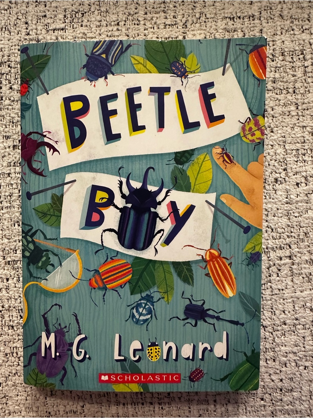 Scholastic Illustrated Beetle Cover in Teal and Multicolor